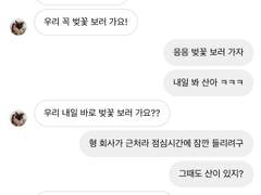호기심천국 上