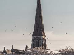 [ 사은아 / 비밀프로필 ]