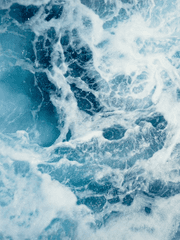 하이타니 스위트 하트