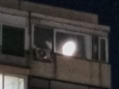 별에게 말을 거는 사람