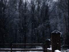 이치이로 카즈토/xy/35