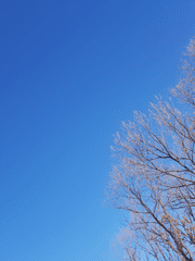 수리수리마수리