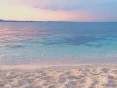 부재(不在). 그리고 재실(在室).