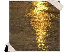 아름답지 않은 낭만도 사랑해