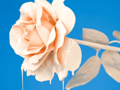 42.서영여진 - Rock Music 썰 + 추가