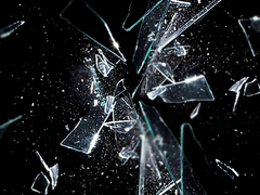 1. Was it a cat I saw?