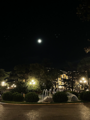 알프스 투어에서 생긴 일