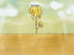 [Season] Spring - Honey Flower