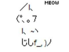 티김이 나무위키