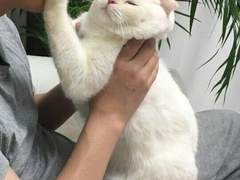 김여주 ! 엔시티로 출근했습니다~