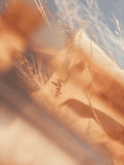 걸어서 가는 길