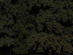 [큰세문대] 해서웨이 민박집에 어서오세요!