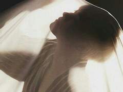 순수의 미학 11 完