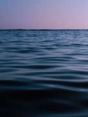 그 빛의 편린만이라도 닮고 싶었다.