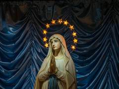 학생은 죽지 않아요