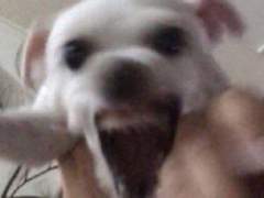 [슬램덩크] 아이돌 덕질하는 드림주를 바라보는 정대만 드림