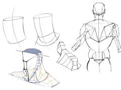 2023년 4월 8일 (토) <해부학>