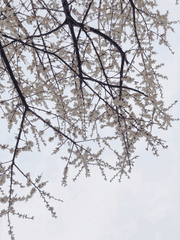 [1차]또 죽고싶지 않아!