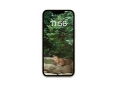 [배경화면]forest_01