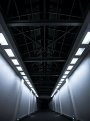 Cousin Look(カズンルック, 커즌 룩)