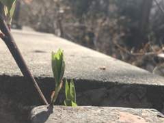 D-105, 104 패패승승승