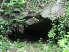 사일야사(射日野史)