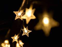 엘리샤 세렌 / XX / 20 age