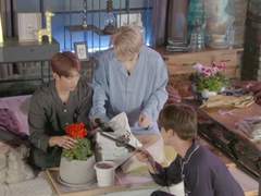 마법 다운타운1