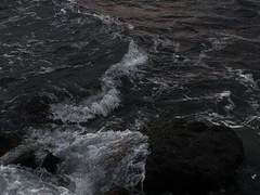 축하해, 아빠. 논컾 토우엔데