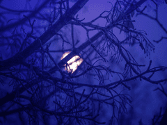 Сколько лет, сколько зим