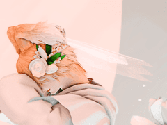 사돈이자 언약자 구합니다.