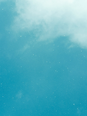 팬픽 추천도 하는 코코