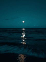 허우적거리는 일기