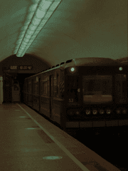 비언이니까 괜찮아