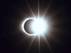 신들의 아카데미