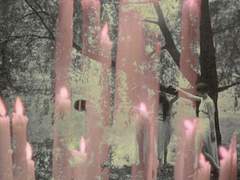 노크 소리(썰 단문)