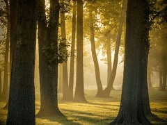 스터디 (4월) > 진행중...