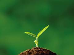 🌱 A childlike person with long green hair 🌱