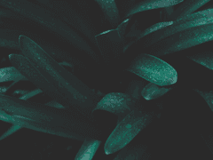 [드레해리] 사랑 그 끝은 헤어짐과 그리움