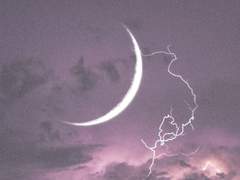 내스급 읽던 타래 백업