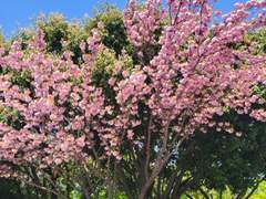 '책'을 만나다, '글자'를 접하다.