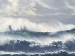 [대만준호] 월파.