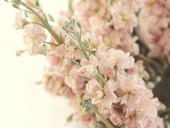 명헌우성 타로 리딩 아카이빙 2