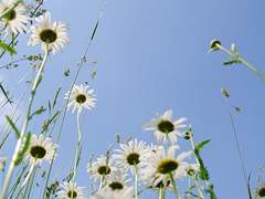 그 이쁜 미소를!