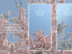 Digital Camera Photograph