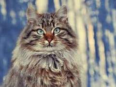 “그 부지도자, 은근히 따스해.”