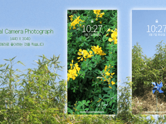 Digital Camera Photograph