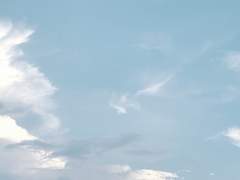 [프로세카] 유키(雪)