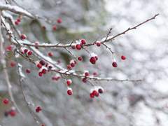 제로의 마법사 : 1과 0