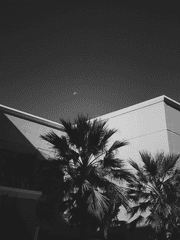 내가 보고싶어 쓰는